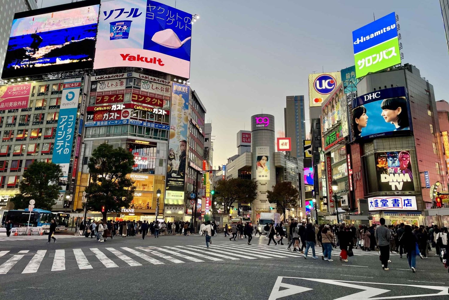 Un inizio perfetto per il tuo viaggio in Giappone - Tour privato a Tokyo