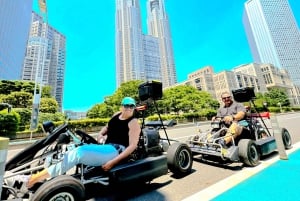 Tokyo: Shibuya and Shinjuku Streets Guided Go-Karting Tour