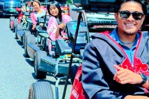 Tokyo: Shibuya and Shinjuku Streets Guided Go-Karting Tour
