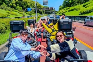 Tokyo: Shibuya and Shinjuku Streets Guided Go-Karting Tour