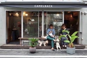 Tokio: Geführte E-Scooter-Tour durch Shibuya und versteckte Viertel