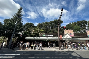 Tokyo: Shibuya & Harajuku With Meiji Shrine Prayer & Ema