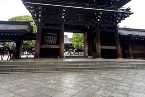 Tokyo: Shibuya & Harajuku With Meiji Shrine Prayer & Ema