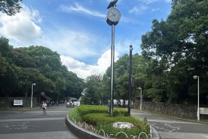 Tokyo: Shibuya & Harajuku With Meiji Shrine Prayer & Ema