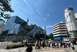 Tokyo: Shibuya & Harajuku With Meiji Shrine Prayer & Ema