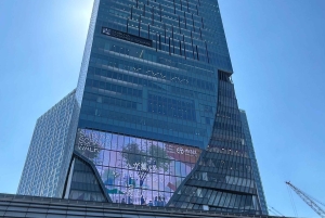 Tokyo: Shibuya & Harajuku With Meiji Shrine Prayer & Ema