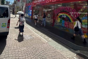 Tokyo: Shibuya & Harajuku With Meiji Shrine Prayer & Ema