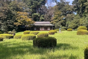 Tokyo: Shibuya & Harajuku With Meiji Shrine Prayer & Ema