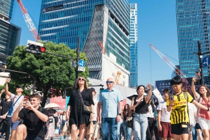 Tokio: Shibuya hoogtepunten wandeltour & geheime achterafstraatjes