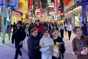 Tokio: Shibuya hoogtepunten wandeltour & geheime achterafstraatjes