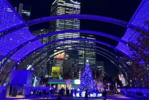 Tokio: Shibuya hoogtepunten wandeltour & geheime achterafstraatjes