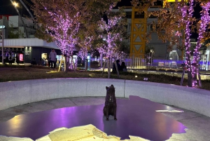 Tokio: Shibuya hoogtepunten wandeltour & geheime achterafstraatjes