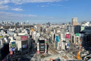 Tokyo: Shibuya Highlights Walking Tour