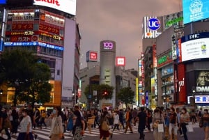 Tokyo: Shibuya Highlights Walking Tour