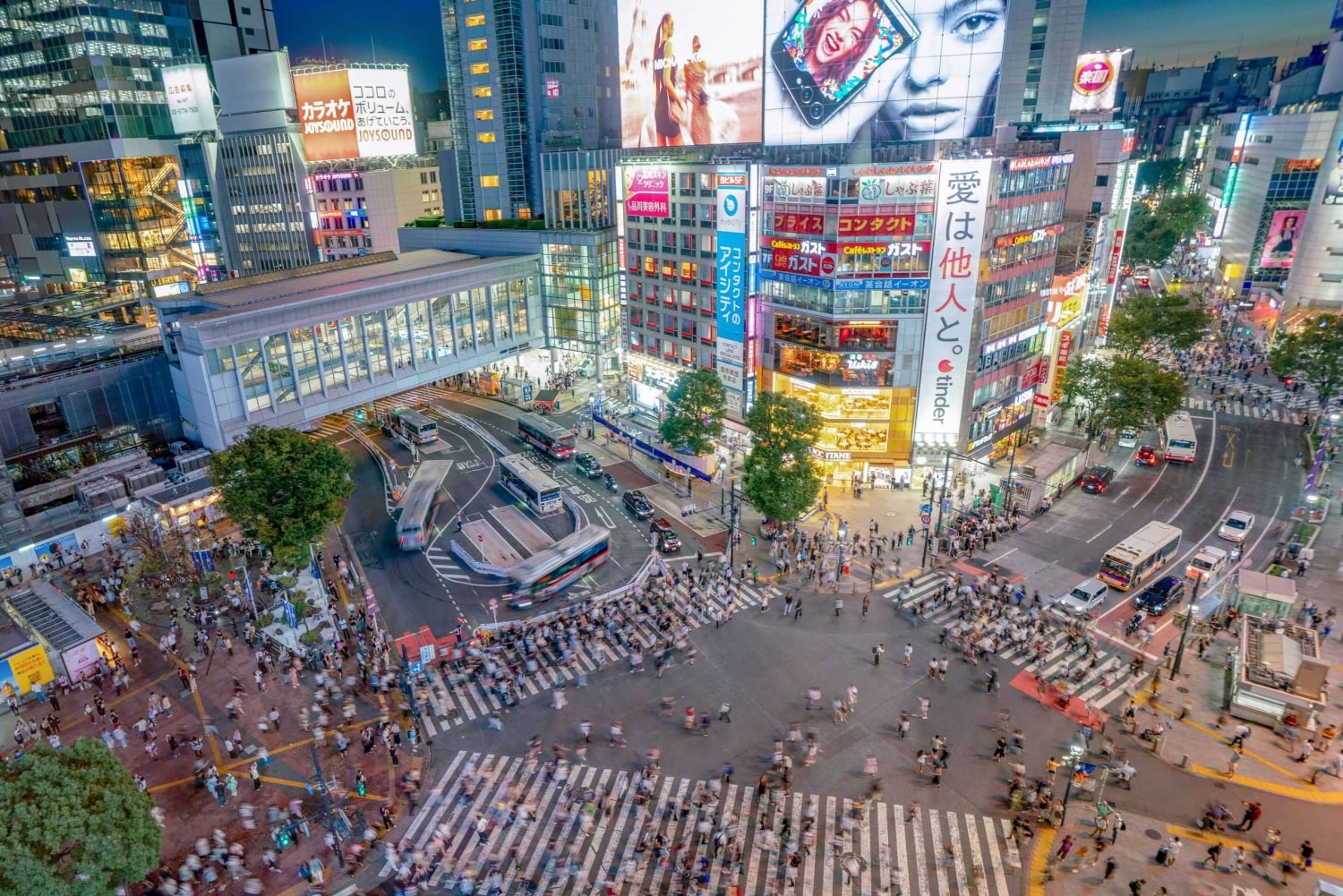 Tokyo: Shibuya-byvandring om aftenen med udsigt over byen fra tagterrassen
