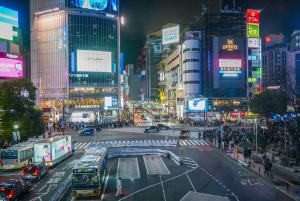 Tokyo: Shibuya-byvandring om aftenen med udsigt over byen fra tagterrassen