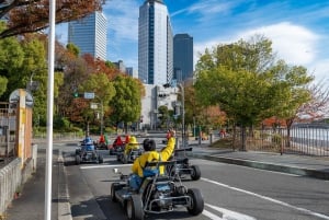 Shibuya Go Karting Tour with Funny Costume