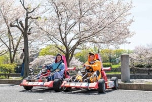 Shibuya Go Karting Tour with Funny Costume