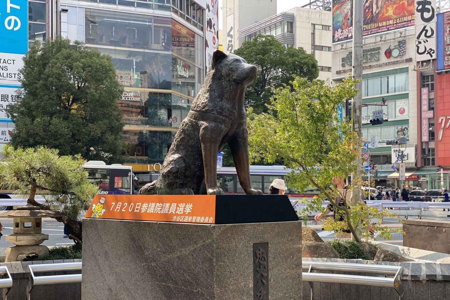 Tokyo: Shibuya Tour with a Local Guide in Spanish and Hidden Gems