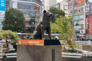 Tokyo: Shibuya Tour with a Local Guide in Spanish and Hidden Gems