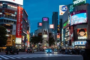 Tokyo: Shibuya Tour with a Local Guide in Spanish and Hidden Gems