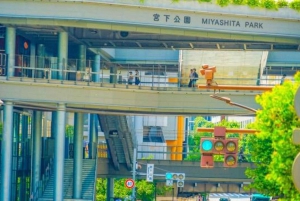 Tokyo: Shibuya Tour with a Local Guide in Spanish and Hidden Gems