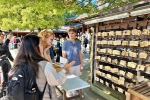 Tokyo: Meiji Shrine Historical Tour by Japanese Guide