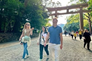 Tokyo: Meiji Shrine Historical Tour by Japanese Guide