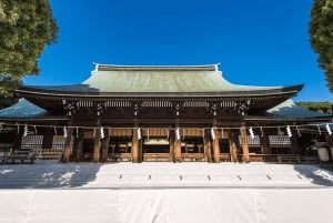 Tokyo: Meiji Shrine Historical Tour by Japanese Guide