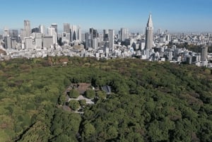 Tokyo: Meiji Shrine Historical Tour by Japanese Guide