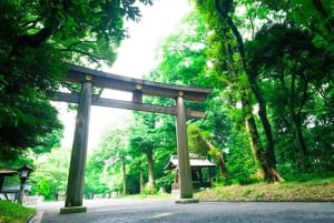 Tokyo: Meiji Shrine Historical Tour by Japanese Guide