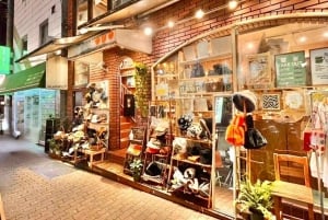 Tokyo Shimokitazawa Private Vintage Shopping Tour