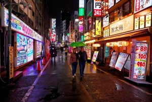 Tokyo: Mad- og kulturtur i baggyderne i Shinjuku