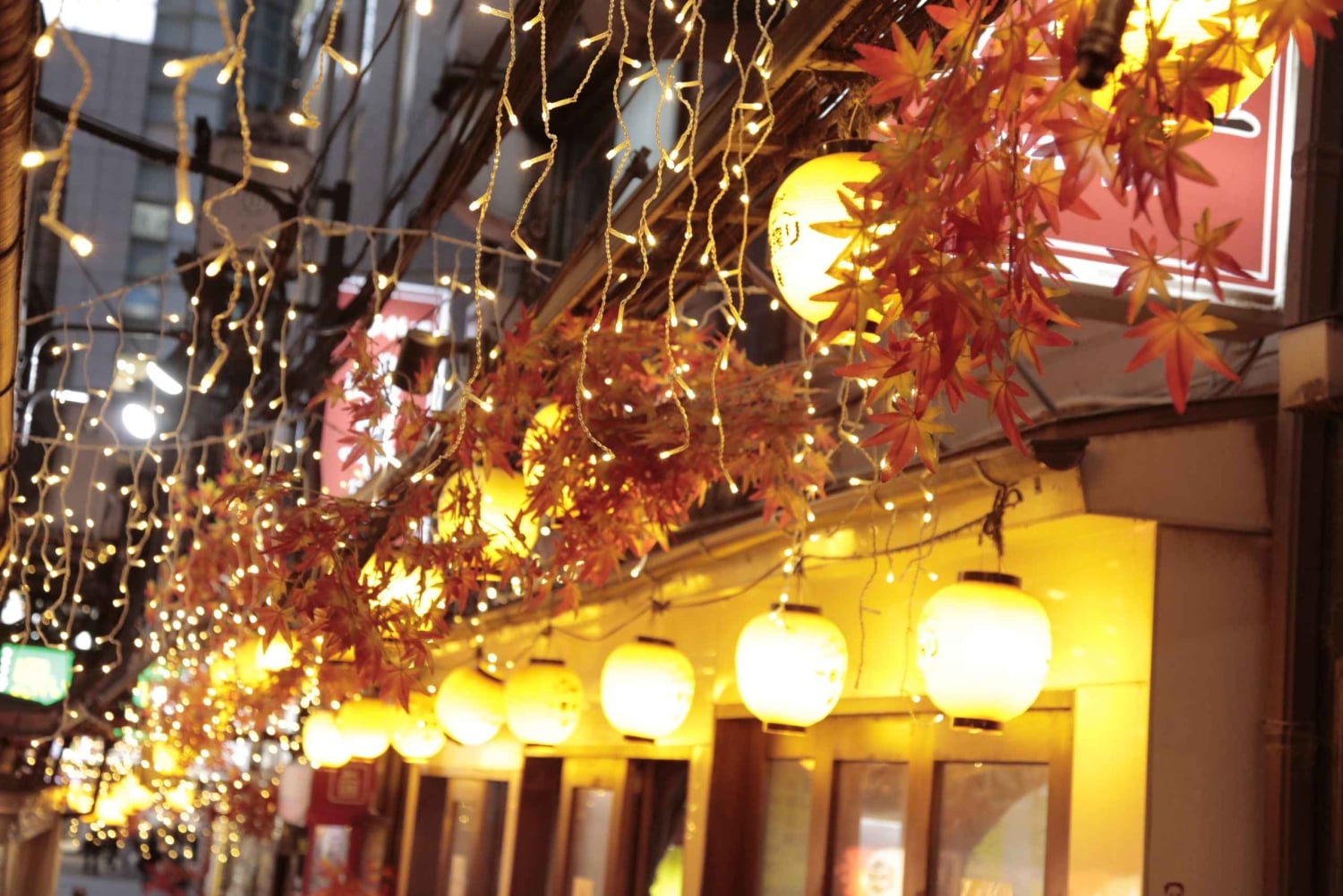 Tokyo: Barrundtur i Shinjuku med mad og drikkevarer