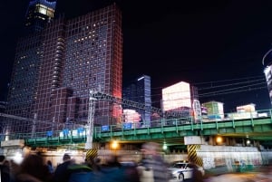 Tokyo: Shinjuku District Guided Walking Tour at Night