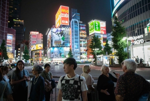 Tokio: Visita guiada nocturna a pie por el distrito de Shinjuku