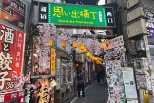 Tóquio: Excursão Noturna para Rapazes em Shinjuku (Coma, Beba e Socialize)