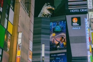 Tóquio: Excursão Noturna para Rapazes em Shinjuku (Coma, Beba e Socialize)