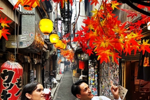 Tokio: Bar-Hopping & Nachtrundgang in Shinjuku