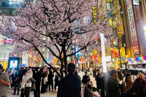 Shinjuku Kabukicho & Golden Gai avondwandeltour