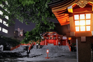 Tóquio: Excursão a pé pela vida noturna e ruas secretas de Shinjuku