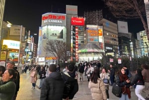 Tokyo : Visite à pied de nuit de Shinjuku avec Secret Alley