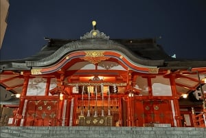 Tóquio: Excursão a pé pela vida noturna e ruas secretas de Shinjuku