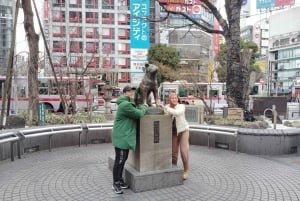 Tóquio: City tour de 2 horas pela cidade de Shinjyuku e Shibuya