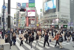 Tóquio: City tour de 2 horas pela cidade de Shinjyuku e Shibuya