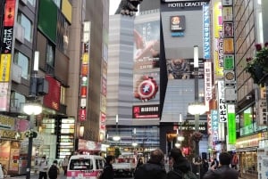 Tóquio: City tour de 2 horas pela cidade de Shinjyuku e Shibuya