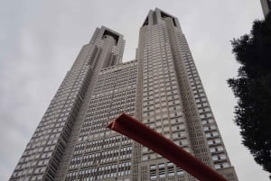 Tóquio: City tour de 2 horas pela cidade de Shinjyuku e Shibuya