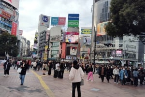 Tóquio: City tour de 2 horas pela cidade de Shinjyuku e Shibuya