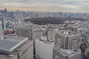 Tóquio: City tour de 2 horas pela cidade de Shinjyuku e Shibuya