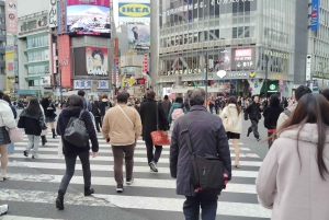Tóquio: City tour de 2 horas pela cidade de Shinjyuku e Shibuya